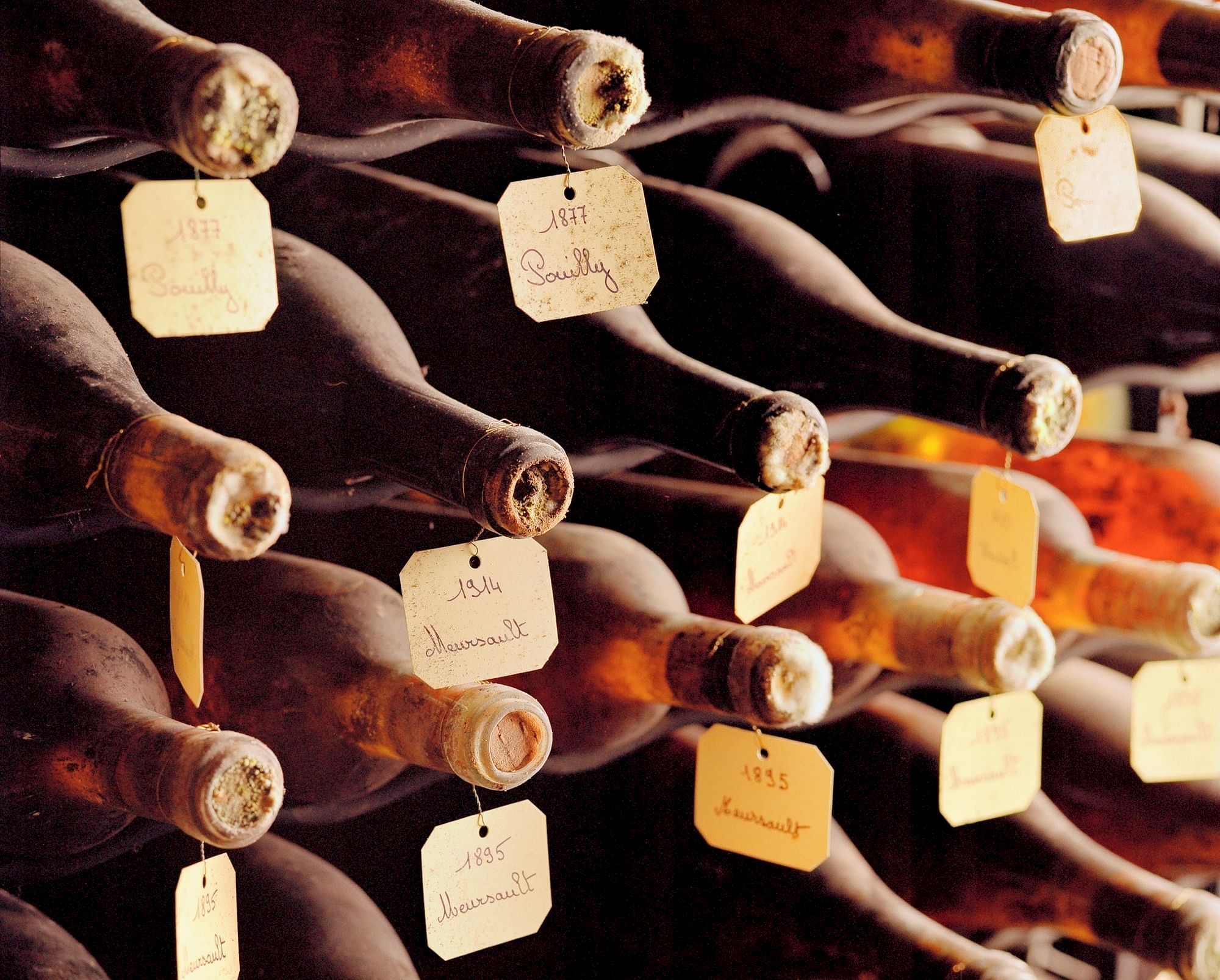 Dusty wine bottles with vintage labels are stored on a wooden rack.