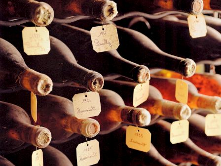 The image shows dusty wine bottles in a cellar with handwritten tags indicating vintages and labels, stacked horizontally on wooden racks.