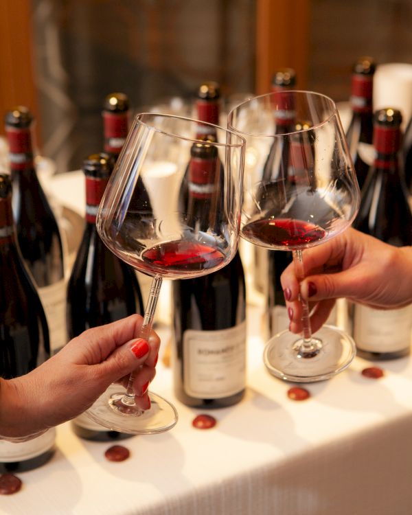 Two people clinking wine glasses in front of a table with multiple wine bottles.