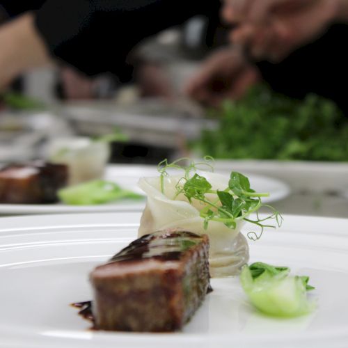 A gourmet dish with a meat slice, garnished with herbs and greens, being prepared in a kitchen.