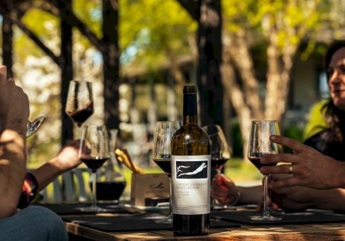 People enjoying wine outdoors, gathered around a table with a wine bottle and glasses, in a sunny, relaxed setting.