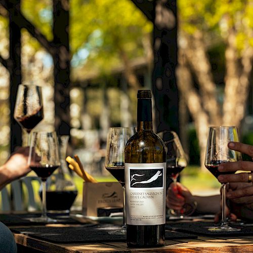 People enjoying wine outdoors, gathered around a table with a wine bottle and glasses, in a sunny, relaxed setting.