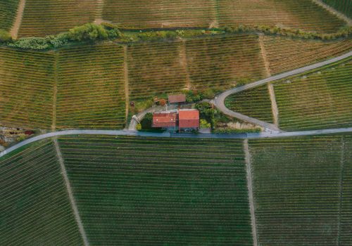 Aerial view of a rural area with a house and road surrounded by neatly arranged fields or vineyards, showcasing geometric patterns in the landscape.