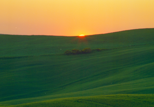 A serene landscape with green rolling hills at sunset, a vibrant golden sky, and the sun peeking over the horizon.