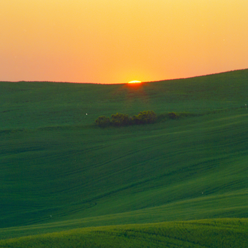 A serene landscape with green rolling hills at sunset, a vibrant golden sky, and the sun peeking over the horizon.